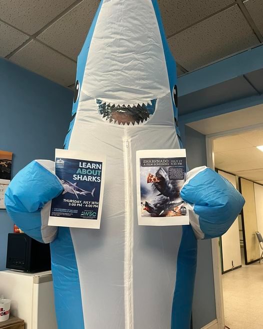 Shark holding up shark flyers