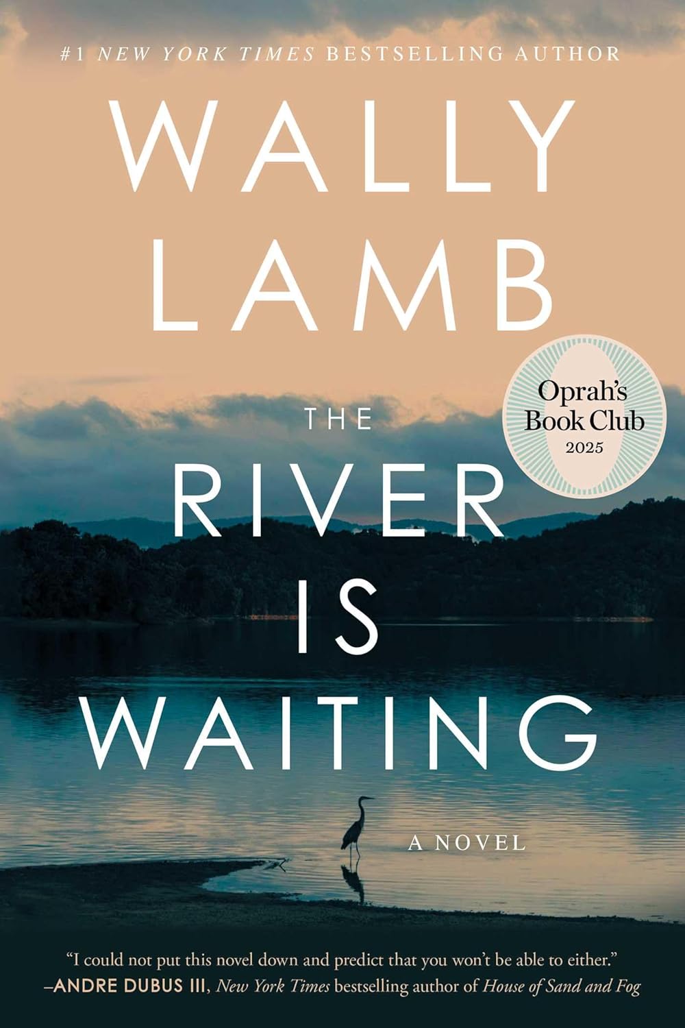 Image for "The River Is Waiting (Oprah's Book Club)"