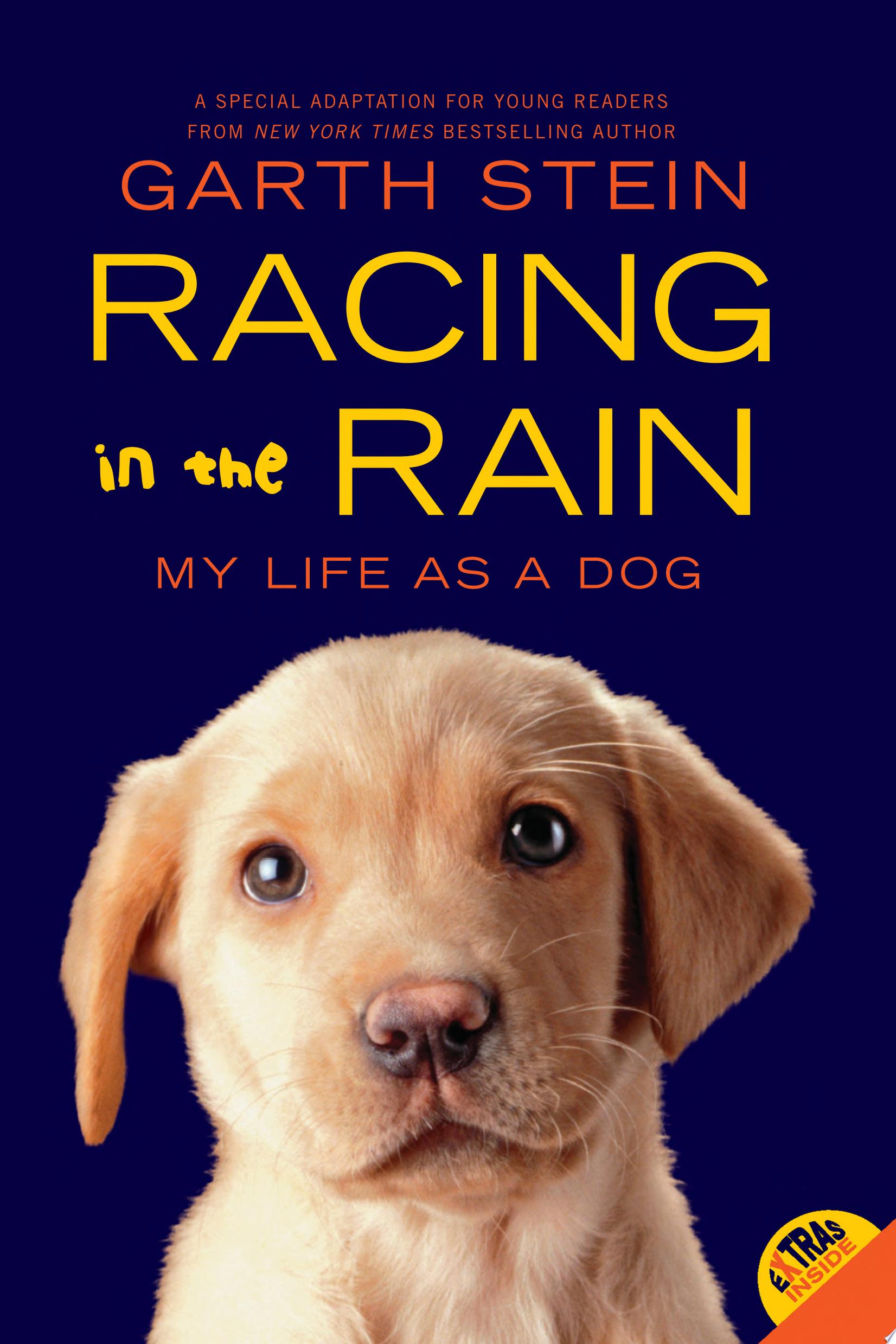 Image for "Racing in the Rain"