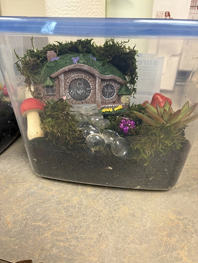 Fairy Terrarium exhibit