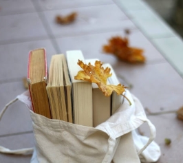 A tote bag with books and a dry maple leaf rests on a tiled outdoor surface, surrounded by scattered autumn leaves, evoking a calm, autumnal atmosphere.