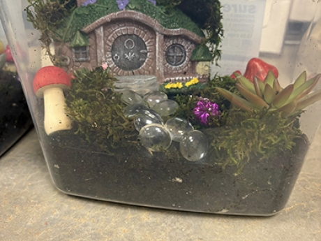 Fairy Terrarium exhibit