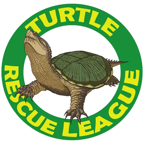 A snapping turtle surrounded by text that reads "Turtle Rescue League".