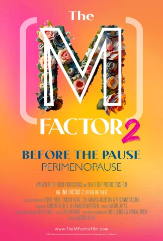 poster for the movie the M Factor 2