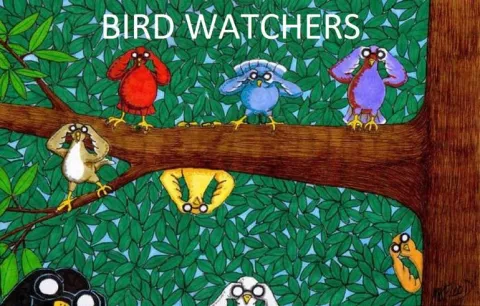 An illustration of birds looking through binoculars.