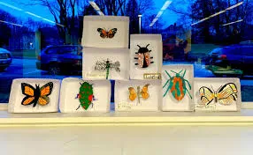 A collection of handmade insect shadow boxes.