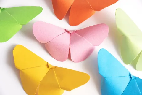 Several origami butterflies in different colors on a white background.