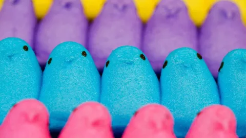 Rows of purple, blue, and pink marshmallow Peeps.