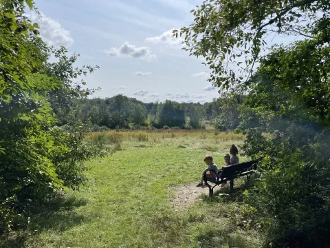 Outdoor nature trail featuring bench with children sitting on it.