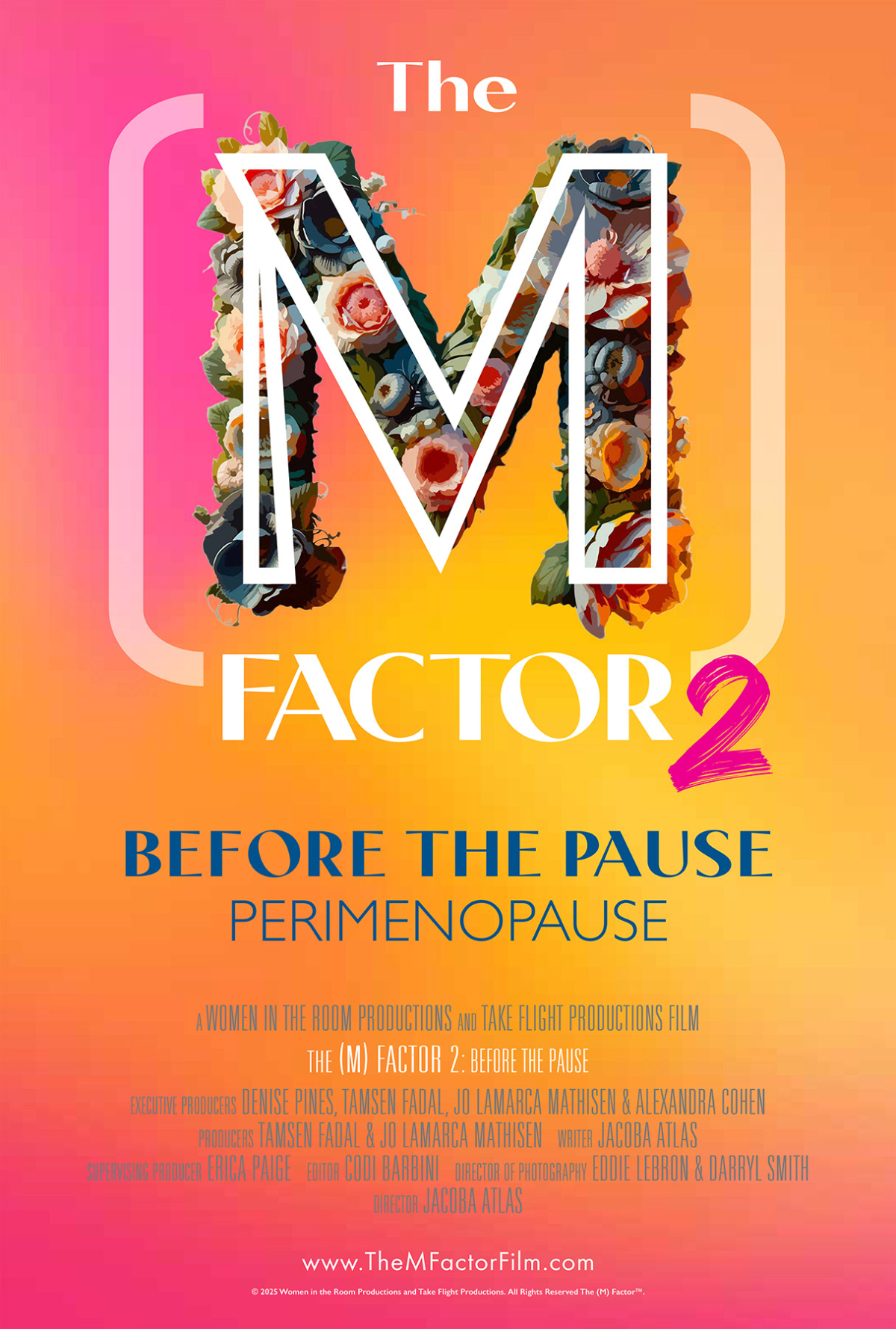 poster for the movie the M Factor 2