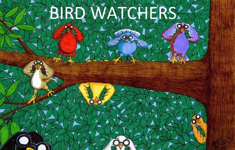 An illustration of birds looking through binoculars.