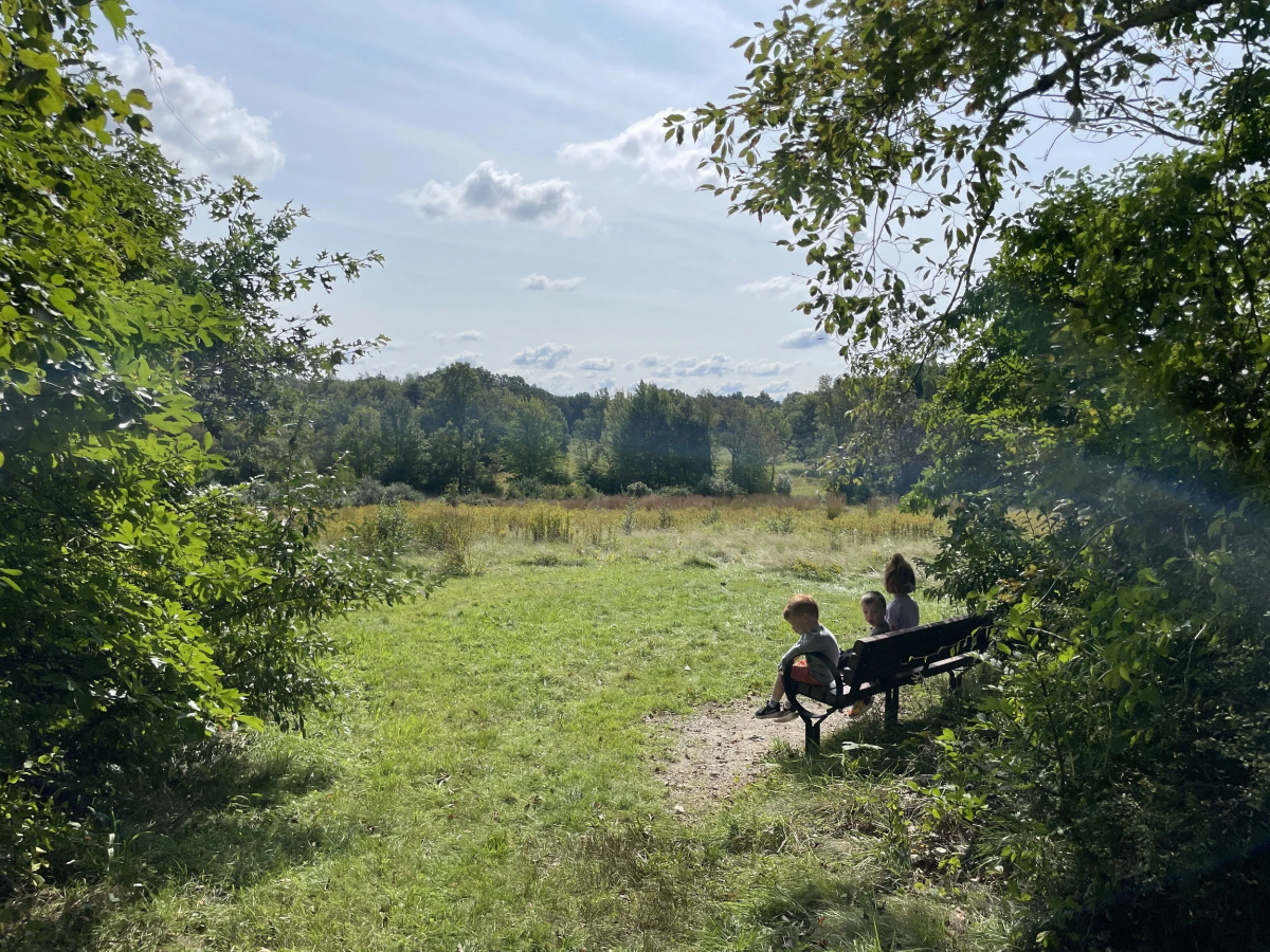 Outdoor nature trail featuring bench with children sitting on it.