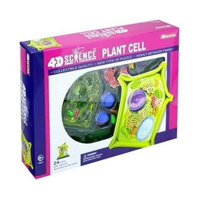 4D Science Model: Plant cell library of things